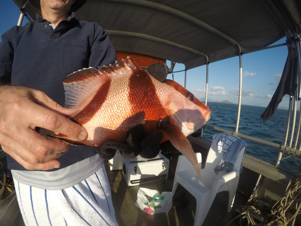 DCIM100GOPROGOPR1800.JPG DCIM100GOPROGOPR1800.JPG